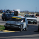 Illustration for article titled The 24 Hours Of LeMons Texas Gator-O-Rama Über Gallery: The Europeans